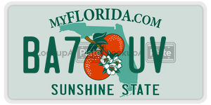 BA7UV  license plate in FL