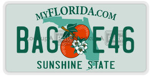 BAGE46 license plate in Florida
