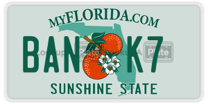 BANK7  license plate in FL