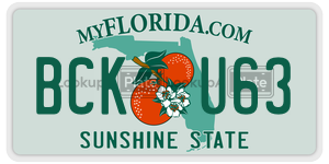 BCKU63 license plate in Florida