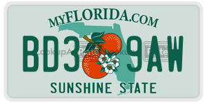 BD39AW  license plate in FL