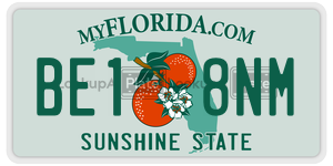 BE18NM  license plate in FL