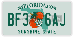 BF36AJ  license plate in FL
