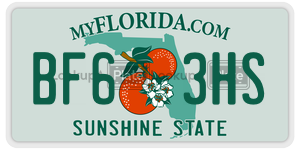 BF63HS  license plate in FL