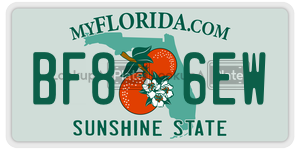 BF86EW  license plate in FL