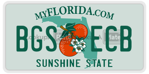 BGSECB  license plate in FL