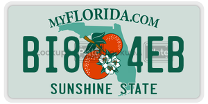 BI84EB  license plate in FL