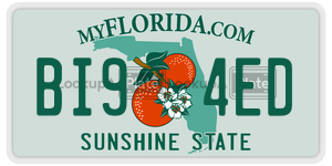 BI94ED  license plate in FL