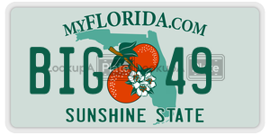 BIG49  license plate in FL
