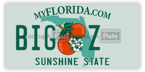 BIGZ license plate in Florida