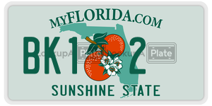 BK12 license plate in Florida