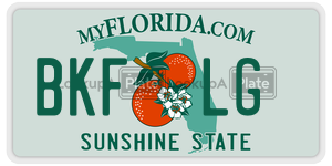 BKFLG license plate in Florida