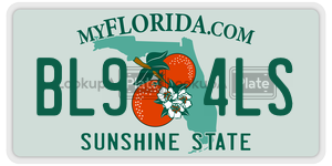BL94LS  license plate in FL