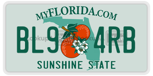 BL94RB  license plate in FL