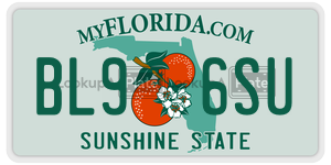 BL96SU  license plate in FL