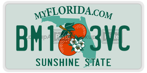 BM13VC  license plate in FL