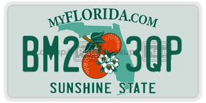 BM23QP license plate in Florida