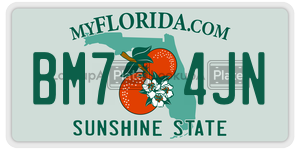 BM74JN license plate in Florida