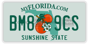 BM89CS license plate in Florida