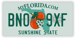 BN09XF  license plate in FL