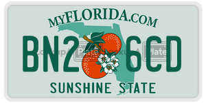 BN26CD license plate in Florida