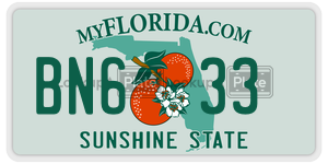 BN633 license plate in Florida