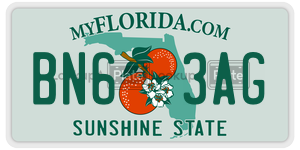 BN63AG  license plate in FL