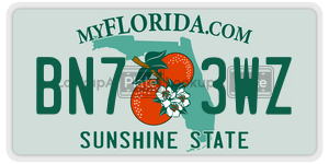 BN73WZ license plate in Florida