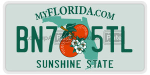 BN75TL license plate in Florida