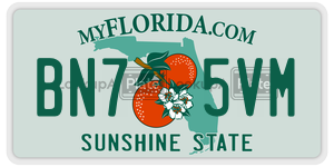 BN75VM  license plate in FL