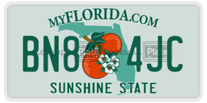 BN84JC license plate in Florida