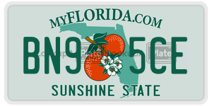 BN95CE license plate in Florida