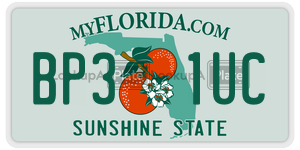 BP31UC license plate in Florida