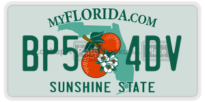 BP54DV license plate in Florida
