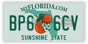 BP66CV license plate in Florida