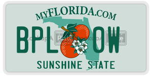 BPL0W  license plate in FL