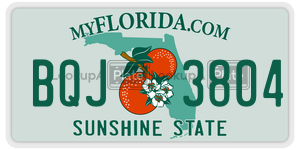 BQJ3804  license plate in FL