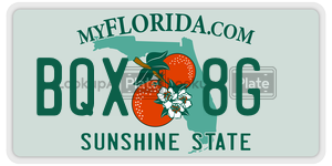 BQX8G  license plate in FL