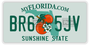 BR65JV  license plate in FL