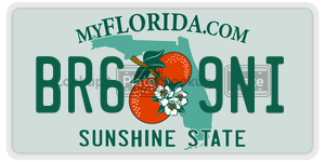 BR69NI  license plate in FL