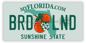 BRDLND  license plate in FL