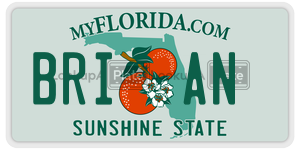 BRIAN  license plate in FL