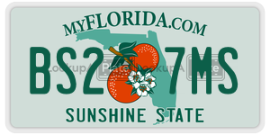 BS27MS  license plate in FL