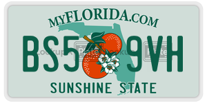 BS59VH  license plate in FL
