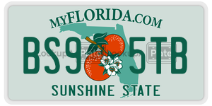 BS95TB  license plate in FL