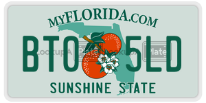 BT05LD license plate in Florida