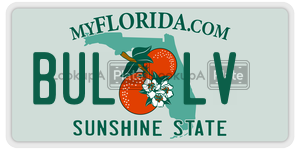 BULLV  license plate in FL