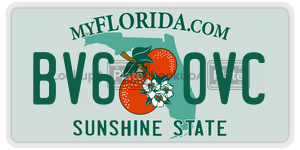 BV60VC  license plate in FL