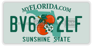 BV62LF  license plate in FL