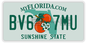 BV67MU license plate in Florida